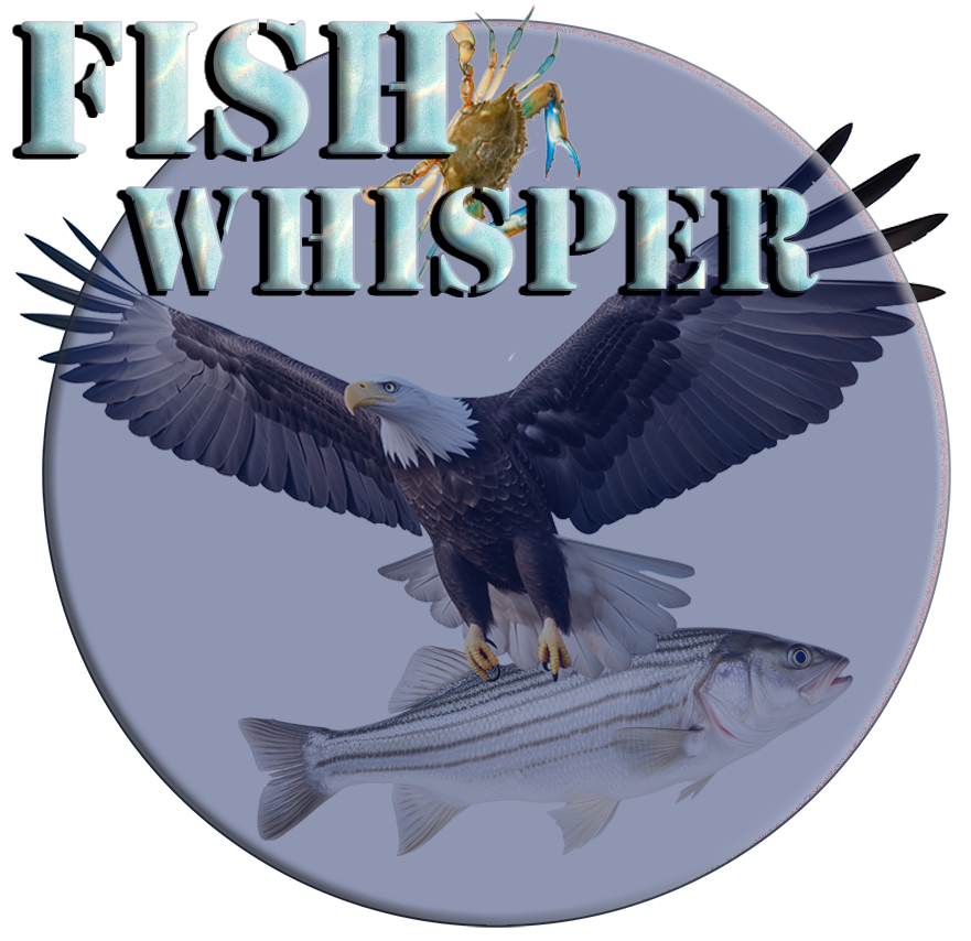Fish Whisper
